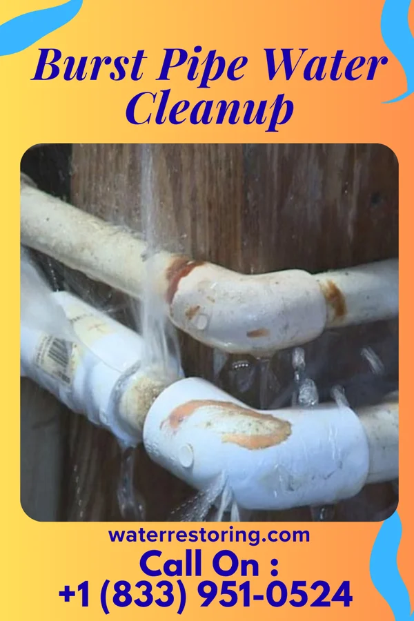 Burst Pipe Water Cleanup in Chapel Hill, TN
