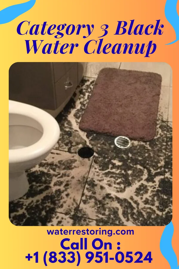 Category 3 Black Water Cleanup in Chapel Hill, TN