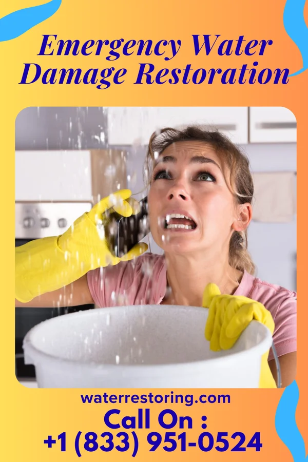 Emergency Water Damage Restoration in Chapel Hill, TN