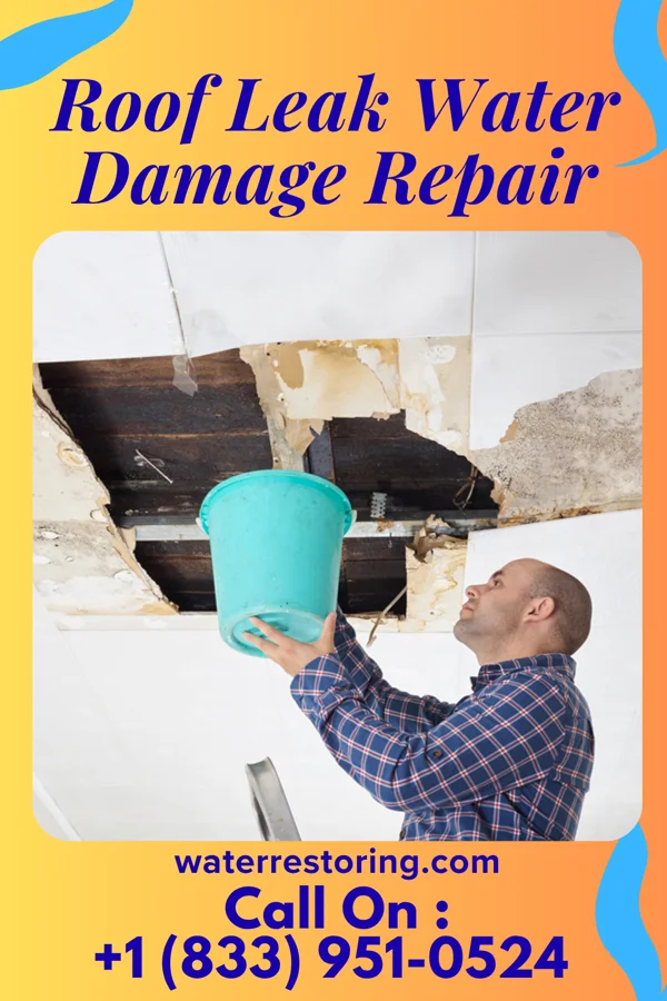 Roof Leak Water Damage Repair in Chapel Hill, TN